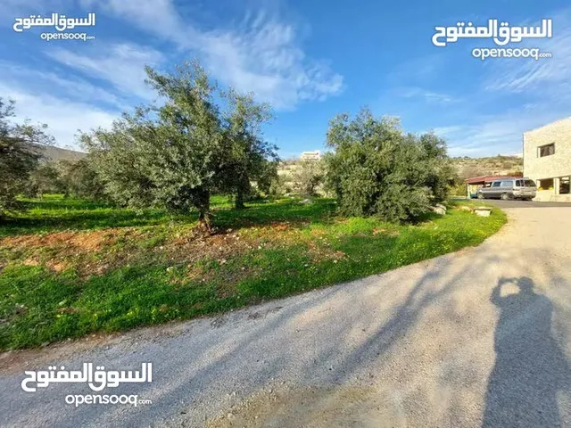قطعة ارض في بلال حوض زبدا 900م على ثلاثة شوارع بسعر مغري اعلان رقم 643