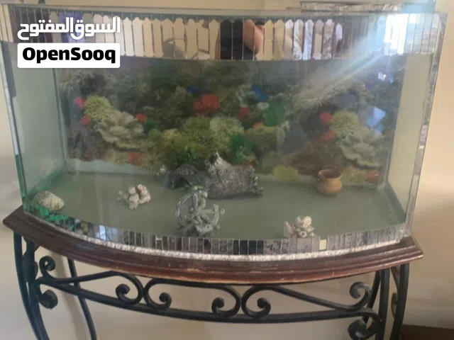 حوض سمك كيرف كبير مع قاعدة