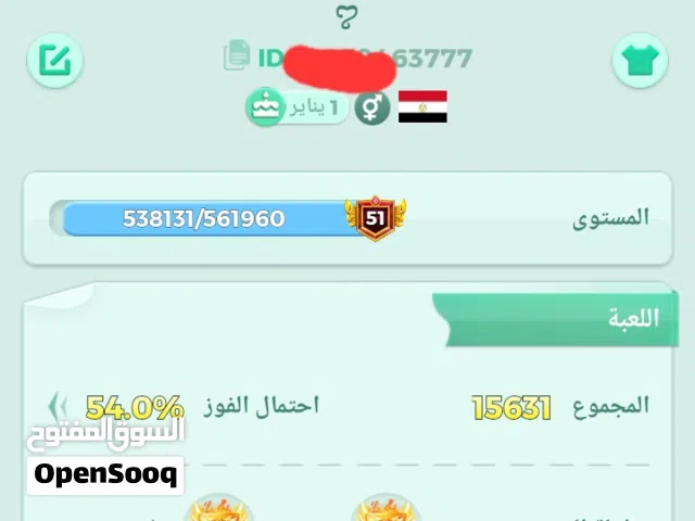 حساب يلا لودو مستوي 51