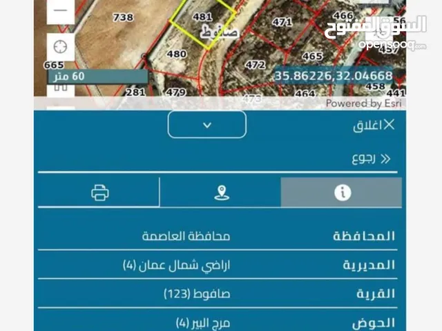 Residential Land for Sale in Amman Safut