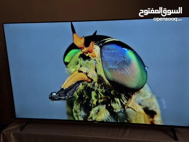 Others Other 65 inch TV in Northern Governorate