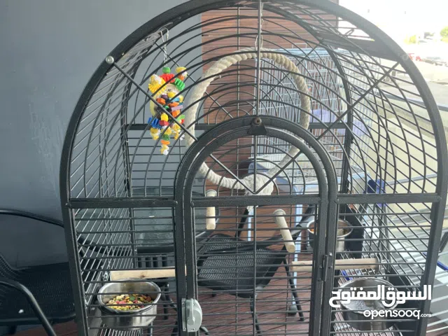 Large cage without pet