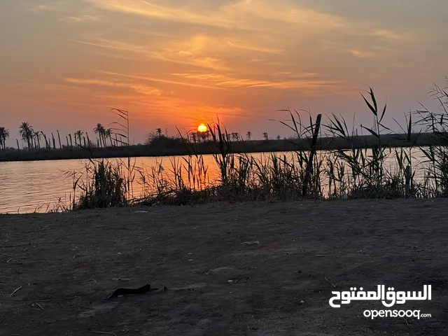 بستان ثلاث دونم إلا ربع يباع كامل