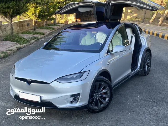 TESLA MODEL X 100 D 2017 SILVER