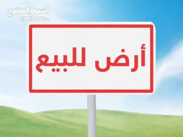 صهيب نابلس