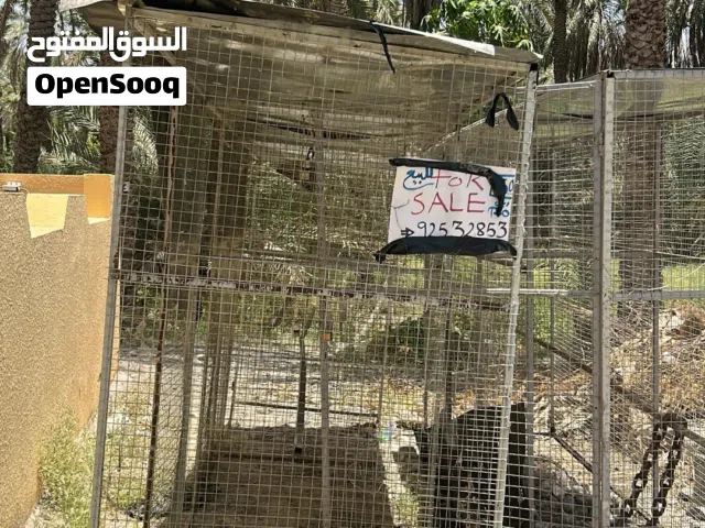 أقفاص للبيع