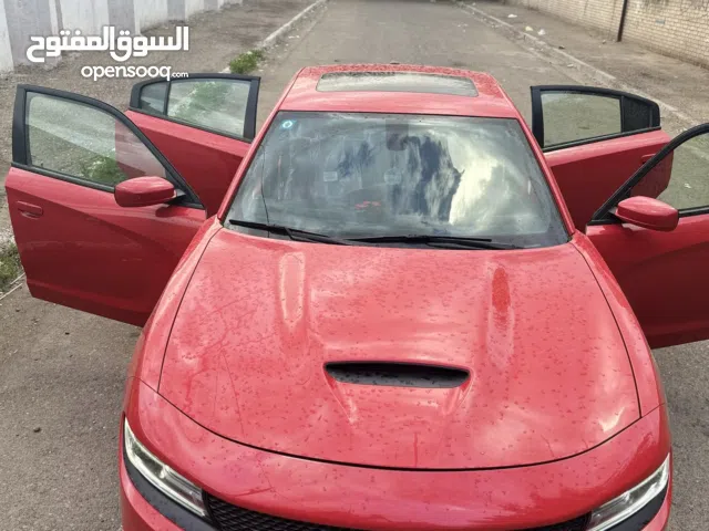 جارجر GT خليجي وكالة هارلم