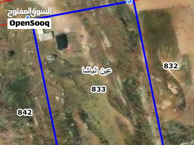عين الباشا الرمله الغربيه
