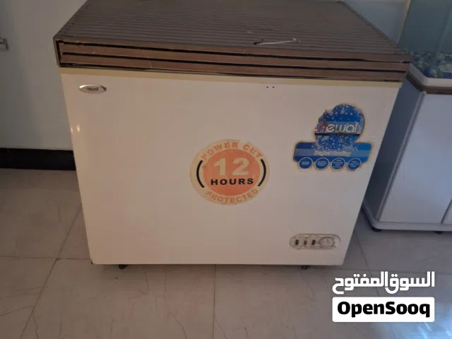 مجمده عطلانة صغيرة
