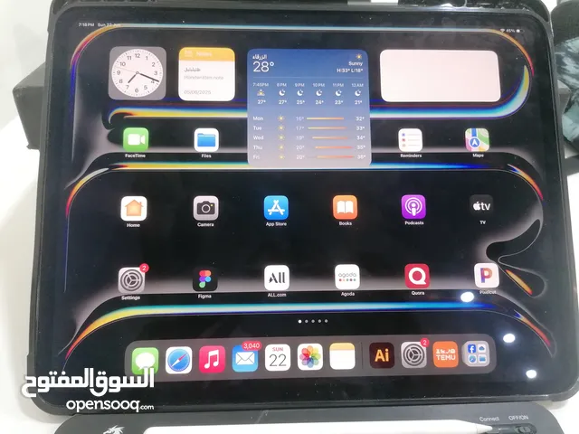 Ipad pro m4 13 inch like new