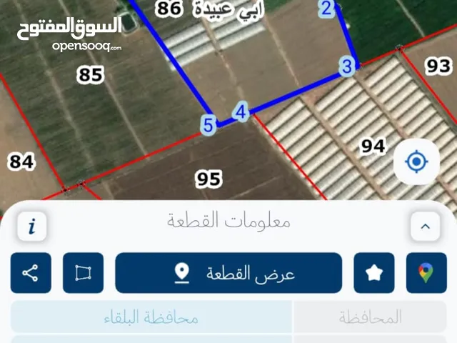 Farm Land for Sale in Irbid Kuraimah
