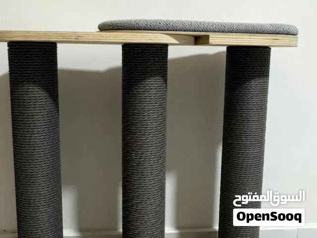 خداشة قطط / اكسسوارات قطط