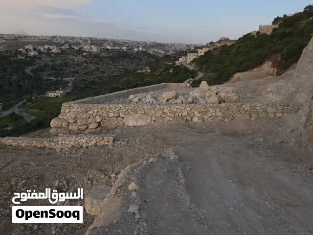 قطع أرض معمرة _دورا الصليب