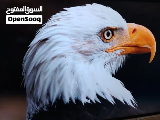 شاشه 55 سامسونج سمارت