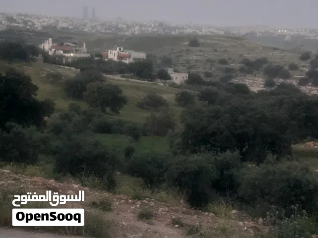 Residential Land for Sale in Amman Abu Al-Sous
