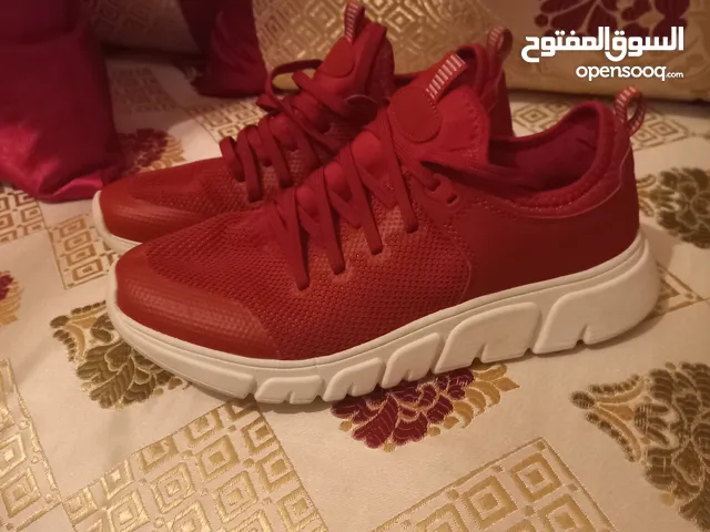 سبرديلة مستوردة من أروبا للبيع دروجين