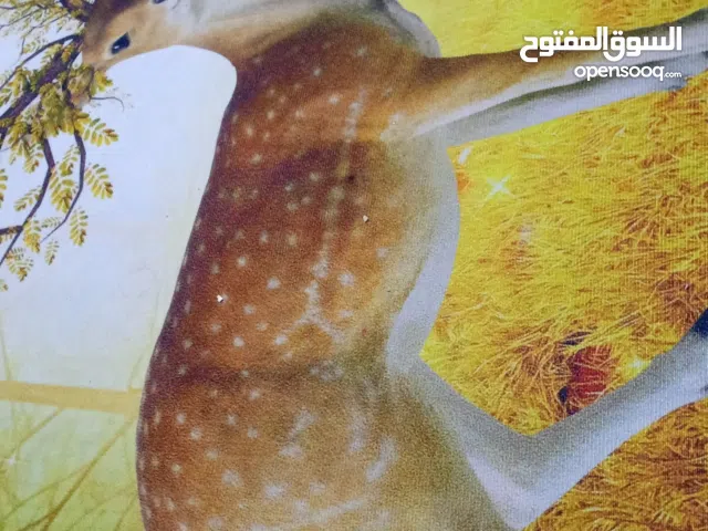 خلطات عطريه مبتكره