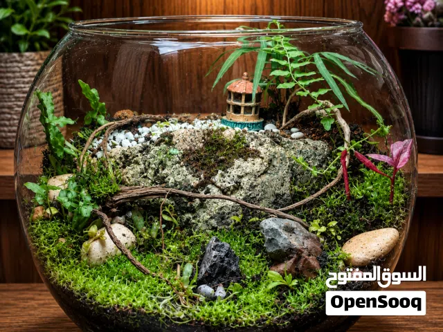 تيراريوم اجمل هدية عابة بين يديك