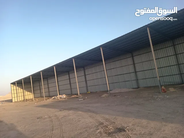 مقاول شبوك ونخيل وشينكو