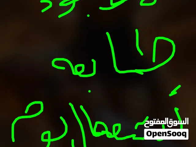 طابعه أوراق ممتازه وبدون اخطاء