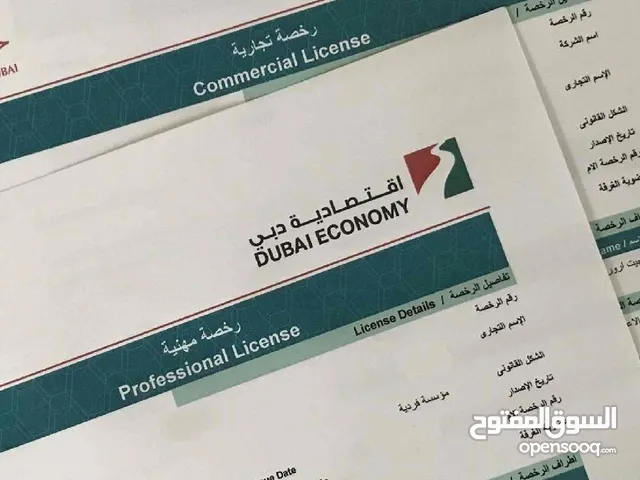 New business setup in Dubai company pro services