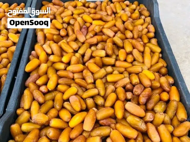 تمر دقله درجه اوله بيع جمله فقط