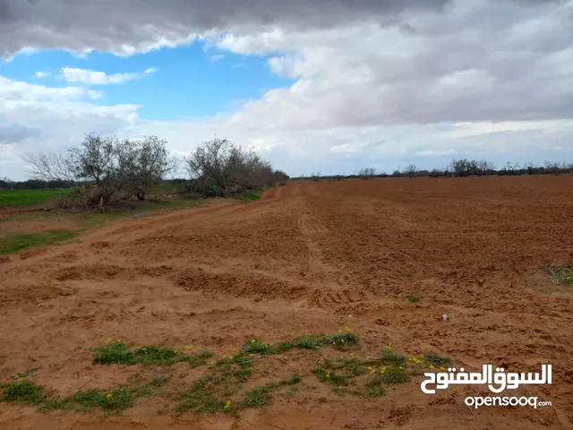 Farm Land for Sale in Gharyan Other