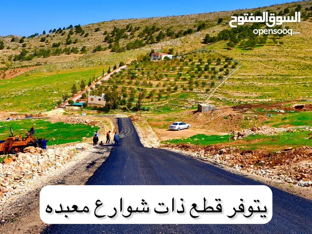Residential Land for Sale in Amman Birayn