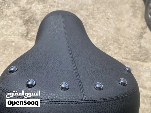 كرسي بسكليت كهربائي