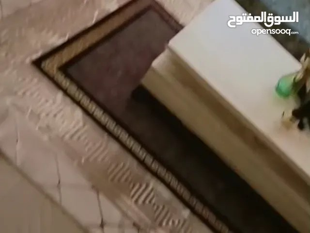 مجلس عربي ضغط 18احضر الفيديو