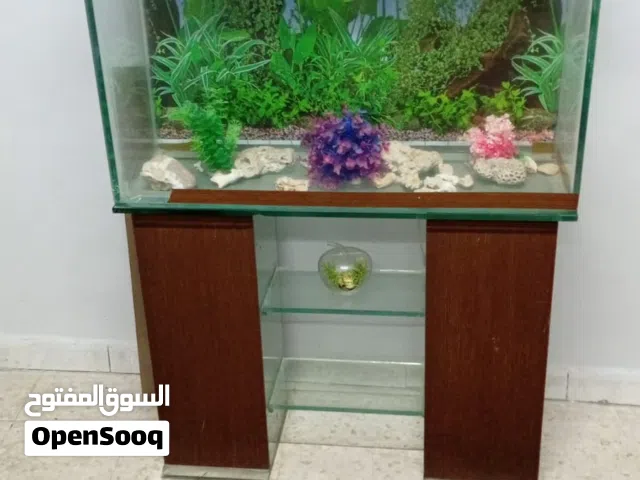 حوض سمك  مع طاولة