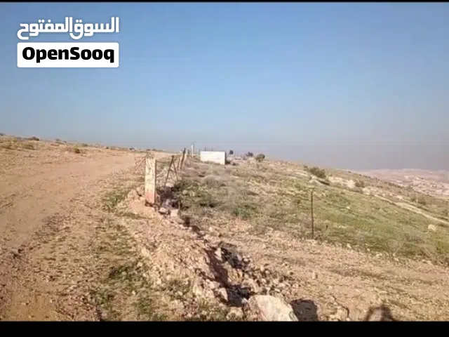 قطعة أرض في جريبا حوض المهوس مساحتها 3دونم و750 متر مقابل ضاحية المدينة المنورة على قمة الجبل