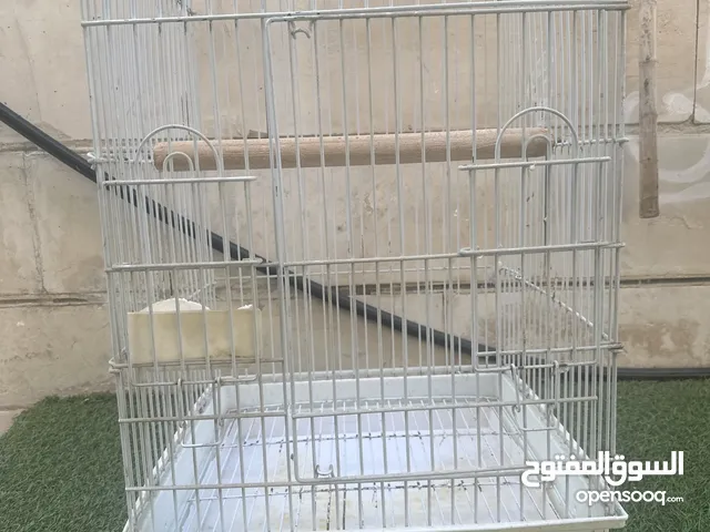 قفص حجم كبير ينفع للكاسكو او المكاو او الطيور الثانيه الاصغر منهم