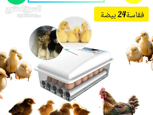 فقاسة 24 بيضة