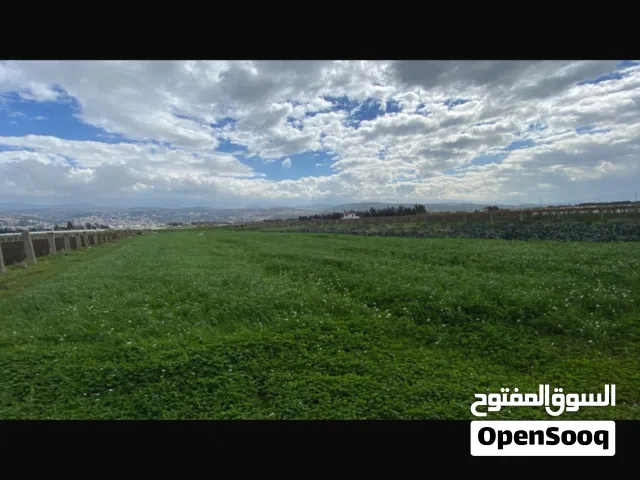 Farm Land for Sale in Aakkar Other