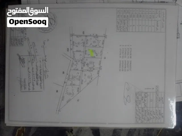 اراضي المستقبل