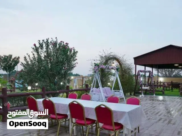افتتاح شاليه ومنتجع المهره VIP في أفضل واجمل موقع مميز على البحر للحجز اليومي وبعروض مناسبه للجميع