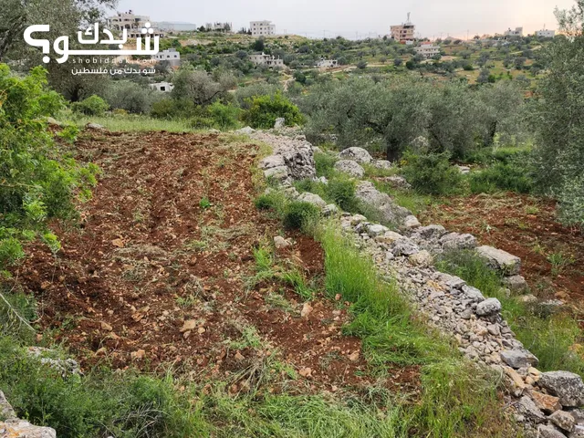 Residential Land for Sale in Ramallah and Al-Bireh Birzeit