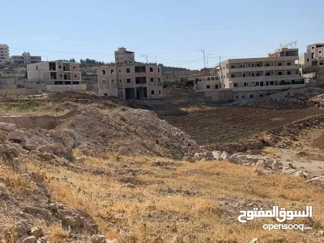 Mixed Use Land for Sale in Bethlehem Beit Ta'mar
