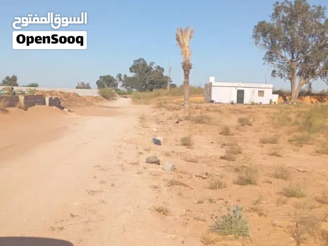 1500 متر للبيع في منطقه الجنين وادي الربيع
