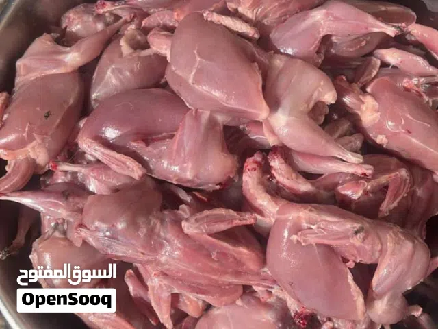 يتوفر لدينا طيور السمان