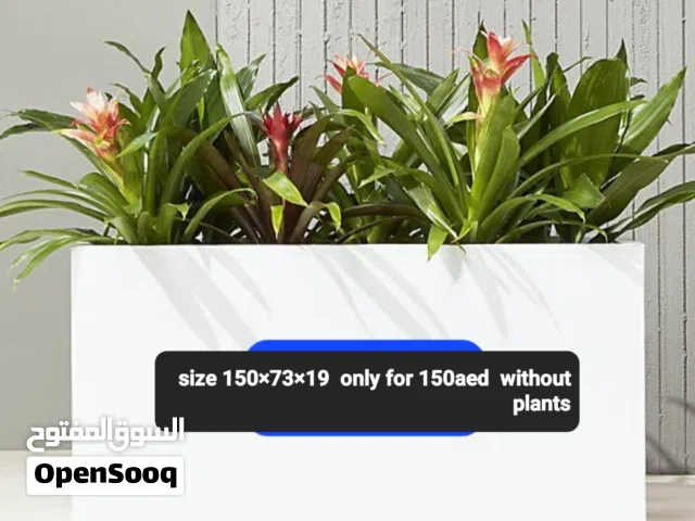 INDOOR RECTANGULAR SELF WATERING PLANTER POTS..