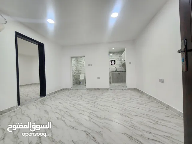 Brand new 1BHK apartment in MBZ