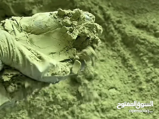 السدر الاصلي