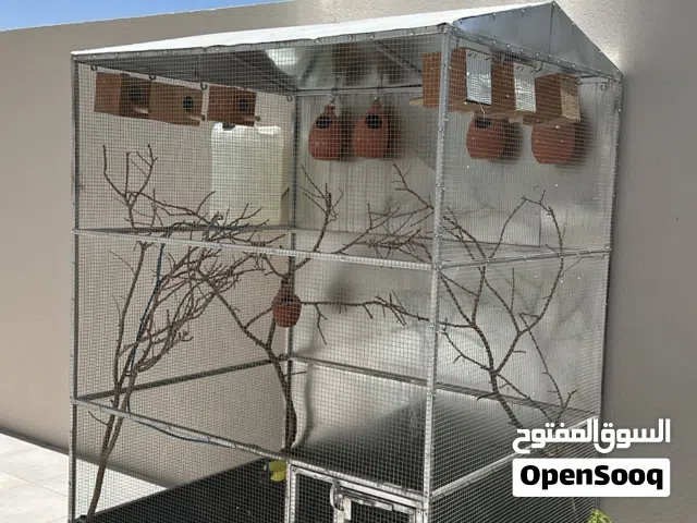 للبيع قفص جديد مع كامل الملحقات