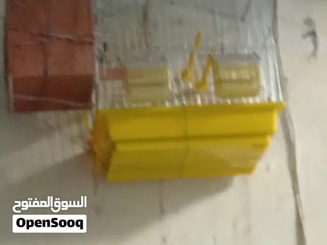 اقفاص عصافير للبيع كززززززيوني الله يبارك