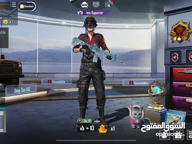 Pubg Accounts and Characters for Sale in Babylon