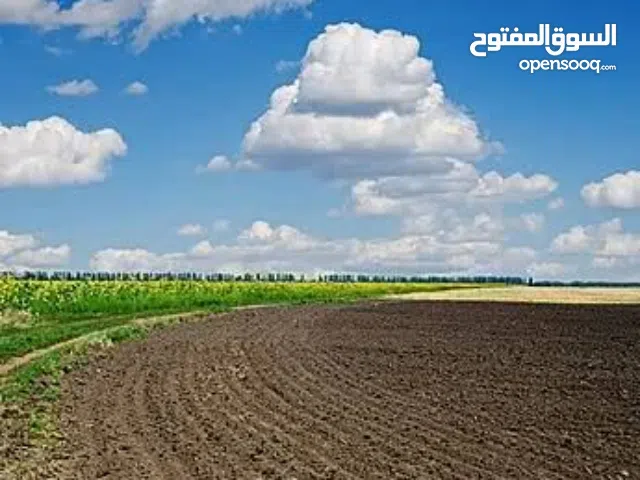 Farm Land for Rent in Tripoli Other