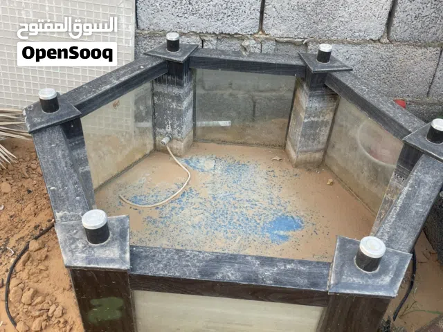 حوض سمك ربي يبارك يبي شويه تنضيف