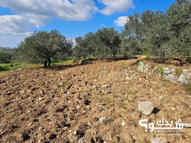 Residential Land for Sale in Ramallah and Al-Bireh Beit Rima